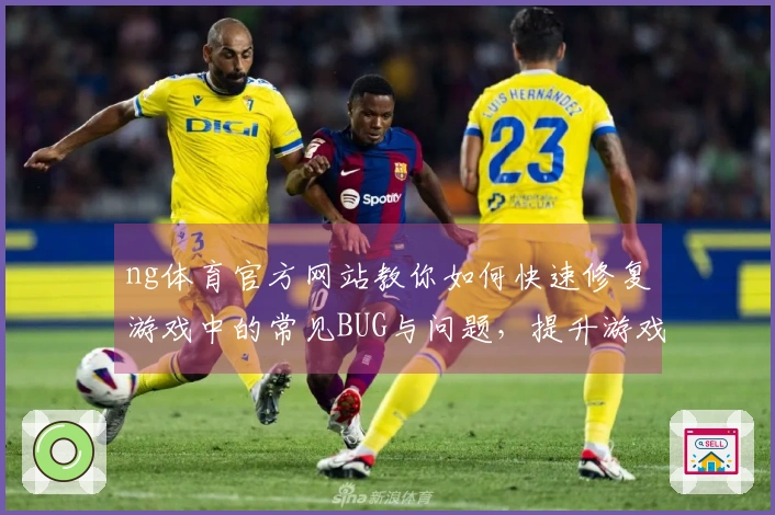 ng体育官方网站教你如何快速修复游戏中的常见BUG与问题，提升游戏体验