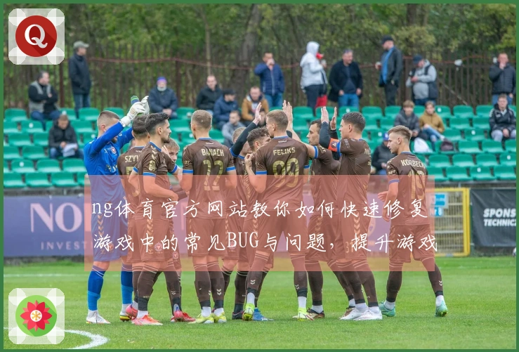 ng体育官方网站教你如何快速修复游戏中的常见BUG与问题，提升游戏体验