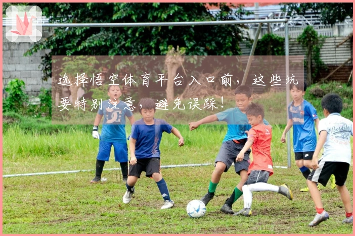 选择悟空体育平台入口前，这些坑要特别注意，避免误踩！