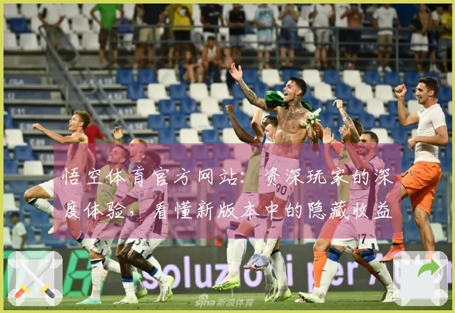 悟空体育官方网站：资深玩家的深度体验，看懂新版本中的隐藏收益与玩法进阶
