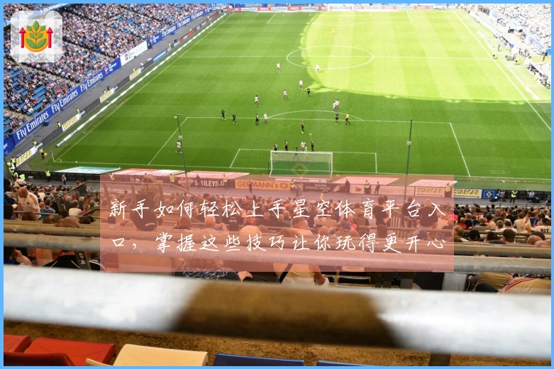 新手如何轻松上手星空体育平台入口，掌握这些技巧让你玩得更开心！