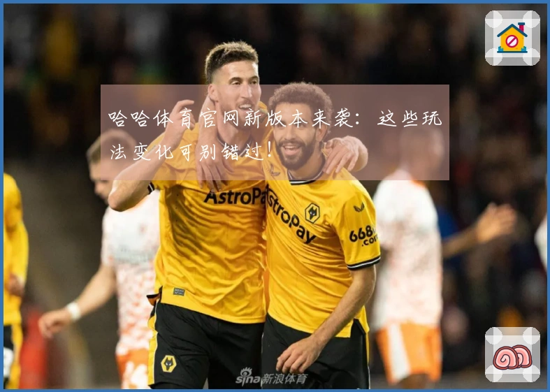 哈哈体育官网新版本来袭：这些玩法变化可别错过！